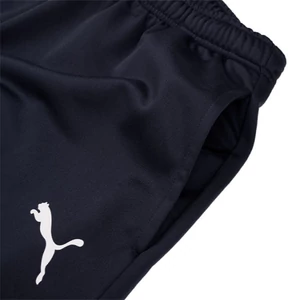 Puma,férfi,szabadidő,ruha,melegítő,cipzáros,tréning,kék-657534